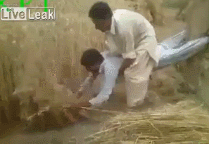인도 최신식 농기계
