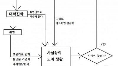 99% 한국인의 일생